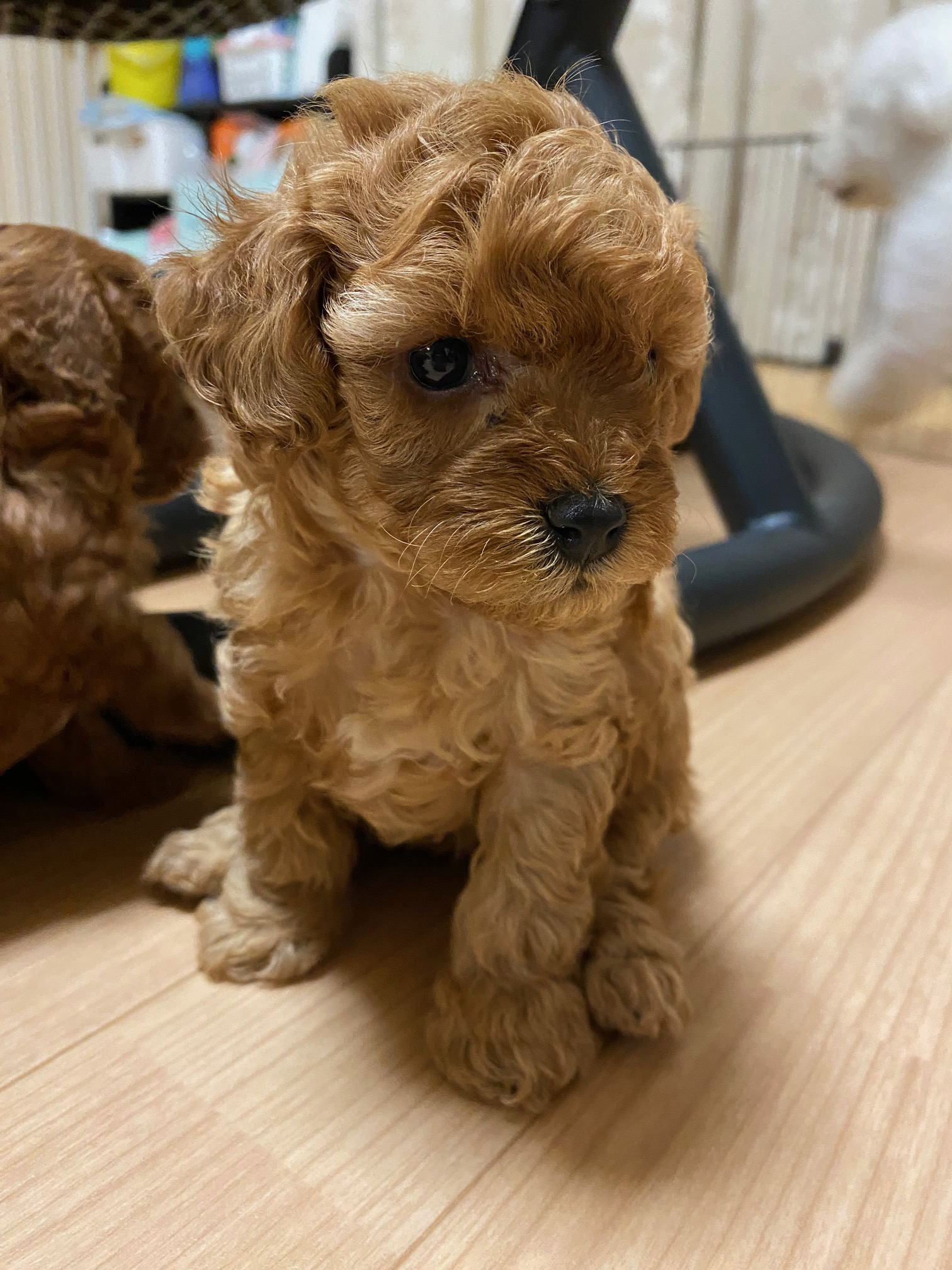 ���i�C���[�W