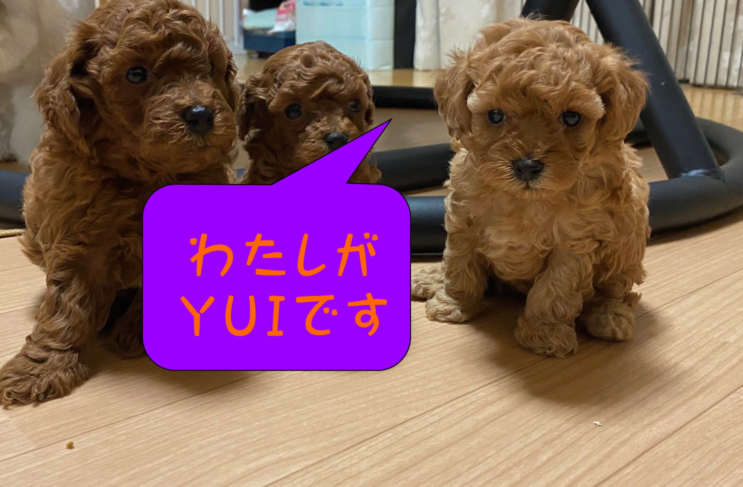 ���i�C���[�W