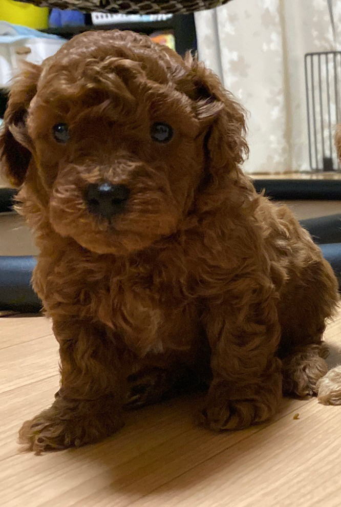 ���i�C���[�W