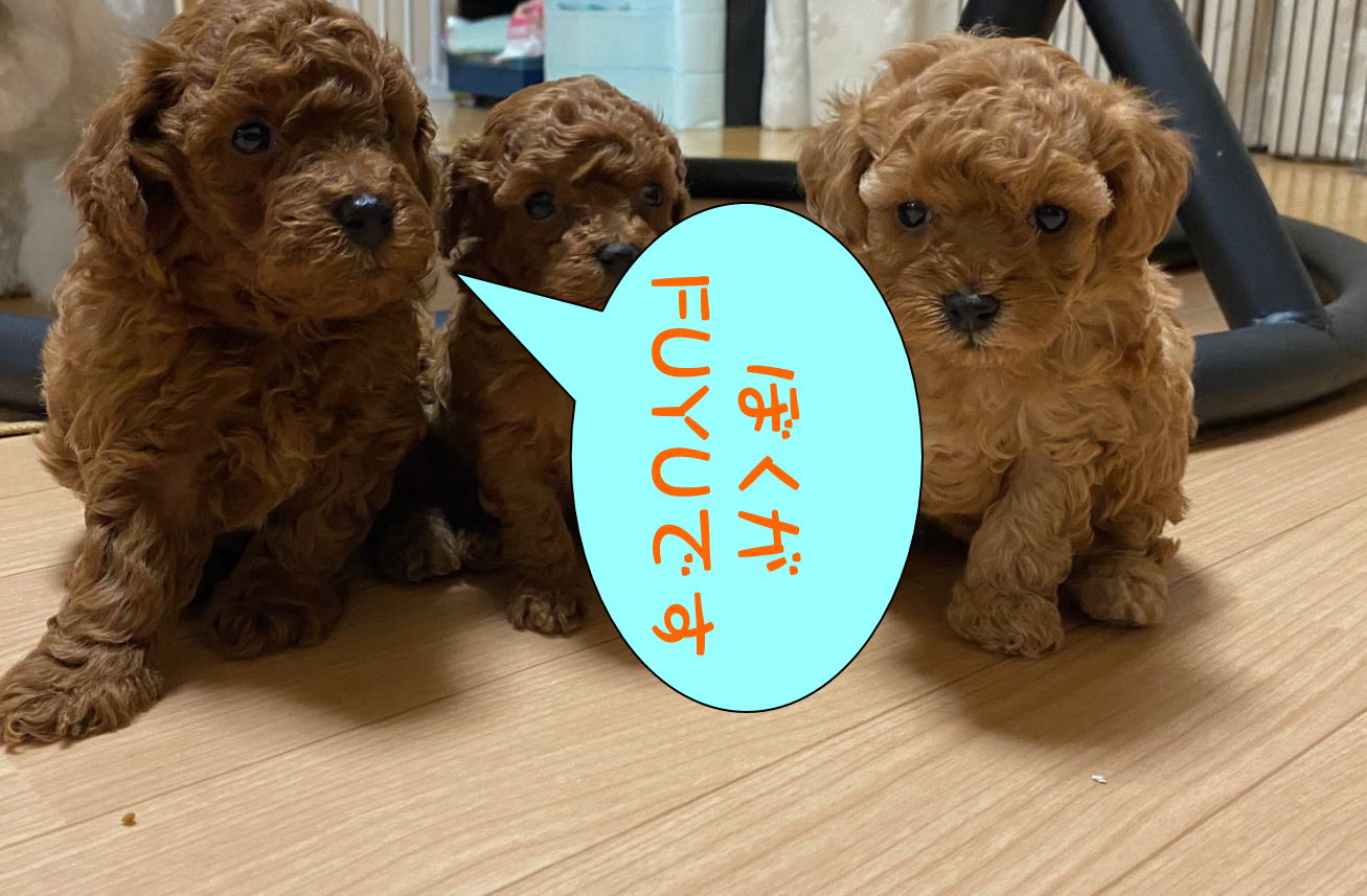 ���i�C���[�W