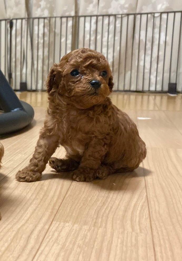 ���i�C���[�W