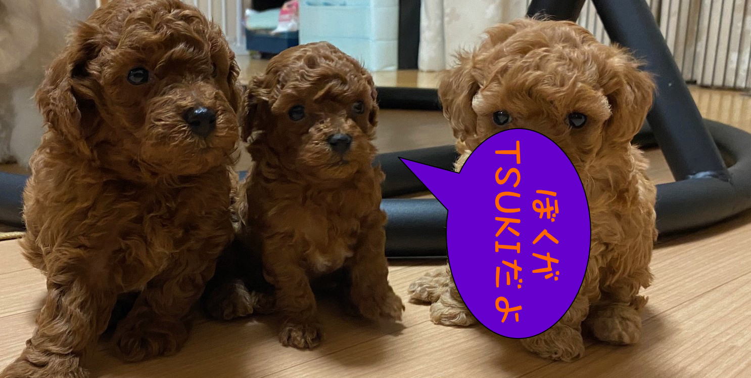 ���i�C���[�W